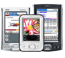 Palm PDAs